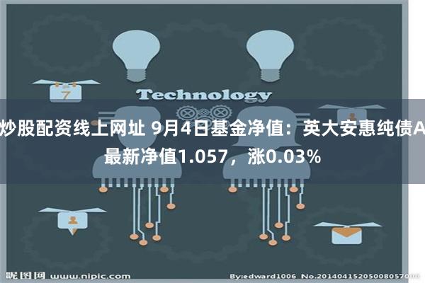 炒股配资线上网址 9月4日基金净值：英大安惠纯债A最新净值1.057，涨0.03%