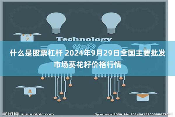 什么是股票杠杆 2024年9月29日全国主要批发市场葵花籽价格行情