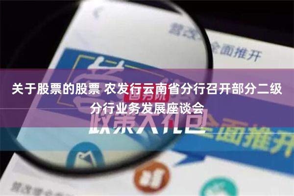 关于股票的股票 农发行云南省分行召开部分二级分行业务发展座谈会