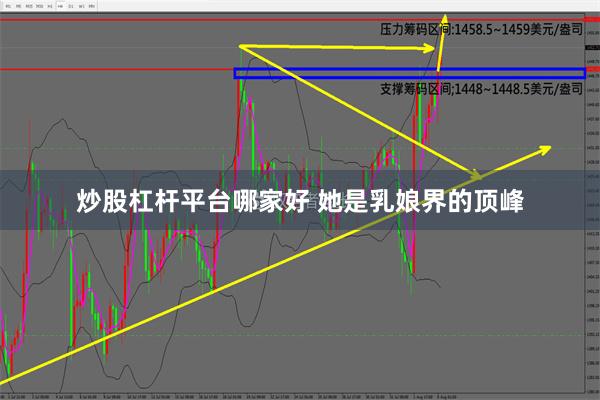 炒股杠杆平台哪家好 她是乳娘界的顶峰