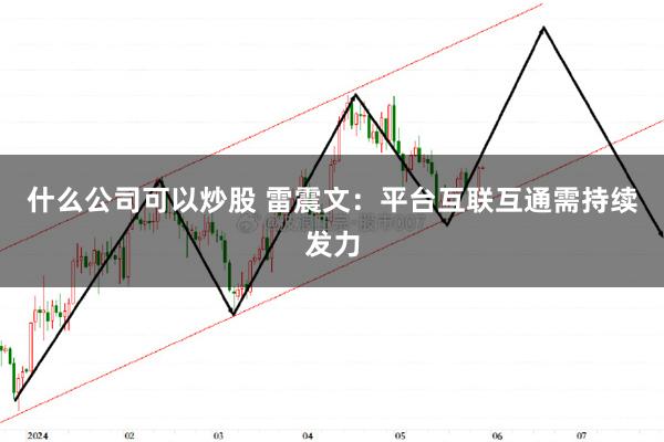 什么公司可以炒股 雷震文：平台互联互通需持续发力