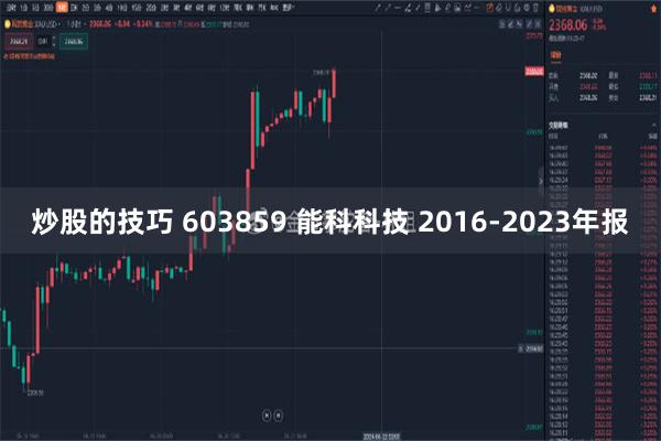 炒股的技巧 603859 能科科技 2016-2023年报