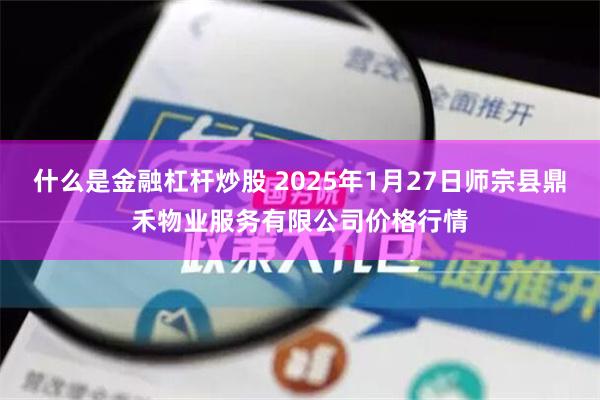 什么是金融杠杆炒股 2025年1月27日师宗县鼎禾物业服务有限公司价格行情