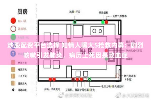 炒股配资平台选择 知情人曝大S抢救内幕：剧烈咳嗽引发肺炎，病历上死因是败血症