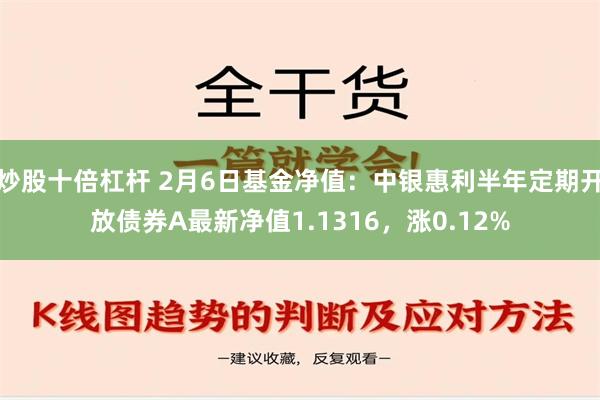 炒股十倍杠杆 2月6日基金净值：中银惠利半年定期开放债券A最新净值1.1316，涨0.12%